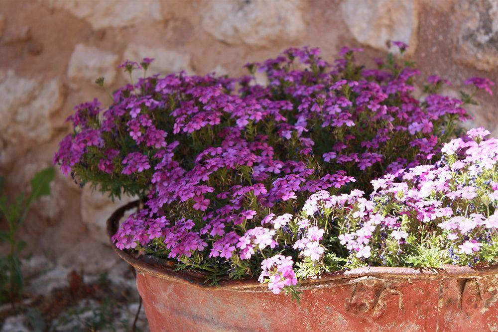 La Casa Su Le Dimore Del Borgo Santo Stefano Di Sessanio Exterior foto